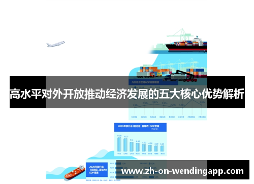 高水平对外开放推动经济发展的五大核心优势解析