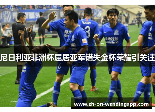 尼日利亚非洲杯屈居亚军错失金杯荣耀引关注 尼日利亚非洲杯屈居亚军错失金杯荣耀引关注